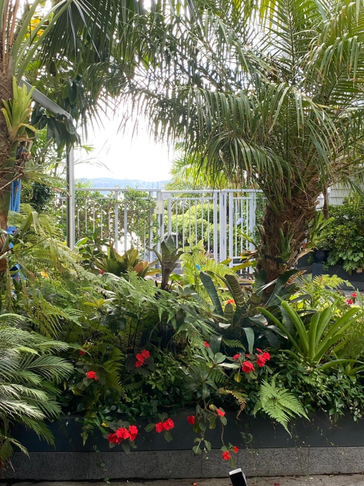 By The Sea Apartment Paihia Bagian luar foto
